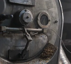 Coffee Roasting Process Drucke: Coffee beans cooking during the roasting process