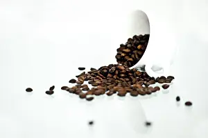 Studio Shot Of Coffee Beans Drucke: Coffee beans emerging from a white cup