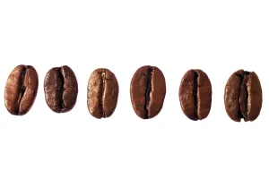Close View Of Coffee Beans Drucke: Coffee beans in a row