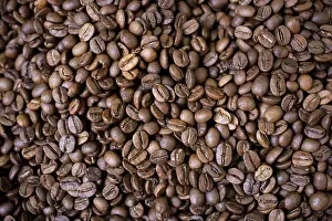 Coffee Background Drucke: Coffee beans texture or coffee beans background