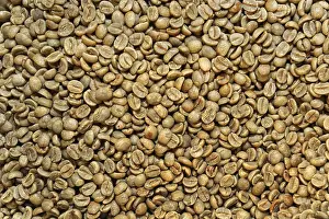 Full Frame Coffee Image Drucke: Coffee beans unroasted