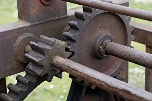 Cogwheel Technology Drucke: Cog wheels