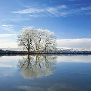 Winter River Scene Drucke: Cold winter day at the river Saale