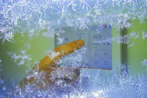 Alternative Energy Germany Drucke: Cold winter, digital heating control