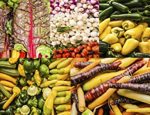 Vegetarian Meal Concept Drucke: Collage of fresh vegetables background