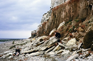Rock Cliff Landscape Photography Drucke: Collapsing cliffs and beach Hunstanton, Norfolk, England 1966