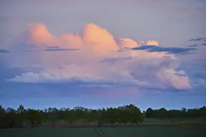 Upper Palatinate Clouds Drucke: Colored clouds at sunset, Upper Palatinate