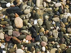 Colored Pebbles Drucke: Colored pebbles in the sand