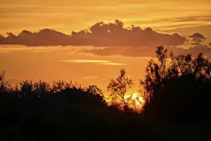 Mellow Evening Atmosphere Drucke: Colored sunset with a cloud in the sky