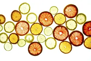 Fresh Fruit Arrangement Drucke: A colorful array of citrus slices
