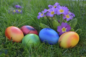 Symbolic Spring Image Drucke: Colorful easter eggs in grass with primrose