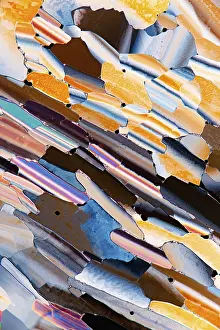 Vibrant Colors Drucke: A colorful microscopic view of liquid crystals featuring an array of vivid oranges