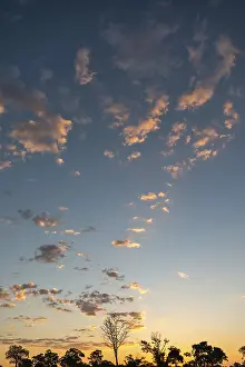 Okavango Delta Sunset Drucke: Coloured clouds after sunset in the Okavango Delta