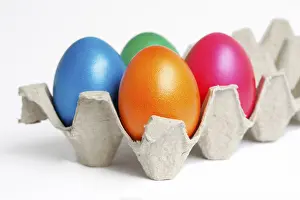 Studio Shot Of Eggs Drucke: Coloured eggs, Easter eggs, in an egg carton