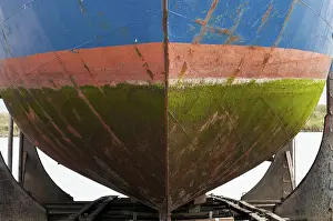 Aquatic Plant Close Up Drucke: Coloured hull covered with algae in the dry dock