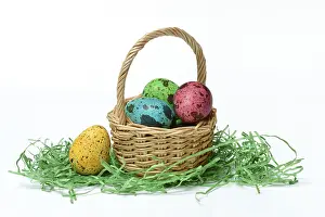 Quail Egg Nutrition Facts Drucke: Coloured quail eggs in baskets