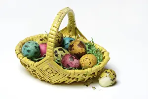 Colourful Easter Traditions Drucke: Coloured quail eggs in baskets