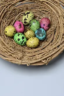 Quail Egg Nutrition Drucke: Coloured quail eggs in nest, Easter eggs