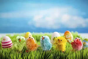 Green Grass Landscape Drucke: Colourful easter chicks on the green grass