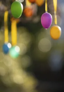Colourful Easter Eggs Drucke: Colourful Easter eggs hang on tree