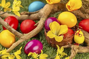 Springtime Wildlife Images Drucke: Colourful Easter eggs in and around a small basket