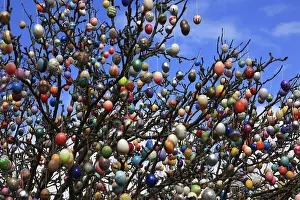 Christian Holiday Celebration Drucke: Many colourful Easter eggs on a tree