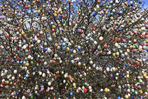 Christian Holiday Celebration Drucke: Many colourful Easter eggs on a tree
