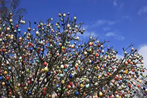 Colourful Easter Decorations Drucke: Many colourful Easter eggs on a tree