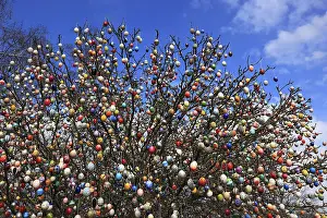 Christian Holiday Celebration Drucke: Many colourful Easter eggs on a tree