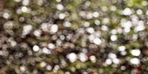 Abstract Background Image Drucke: Colourful light reflections, Abstract background