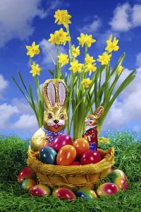 Wild Daffodils Drucke: A colourful nest at Easter, chocolate Easter bunny