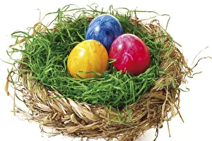 Painted Easter Eggs Drucke: Colourful painted Easter eggs in a nest