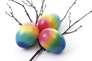 Painted Easter Eggs Drucke: Colourful painted Easter eggs and a Willow twig