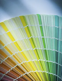 Isolated On White Background Photo Drucke: Colourful sampler on a white background
