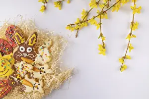 Colorful Baked Goods Drucke: Colourfully decorated Easter biscuits in a nest