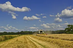 Agricultural Machine Drucke: Combine harvester