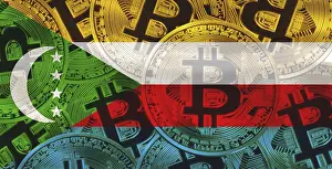 Drucke von Flagge der Komoren mit Bitcoins im Hintergrund. Bitcoin-Kryptowährung mit Flagge von den Komoren, Investoren in Blockchain-Technologie Komoren Drucke: Flagge der Komoren mit Bitcoins im Hintergrund.