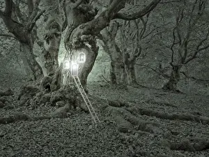 Symbolic Landscape Photography Drucke: Compose: Treehouse