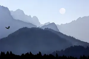 Mountain Peak Scenery Drucke: COMPOSING moon eagle