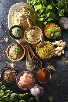 Grocery Store Ingredients Drucke: Composition with assortment of spices and herbs