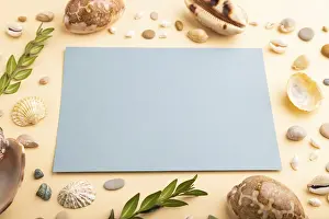 Seashell Still Life Drucke: Composition with blue paper sheet