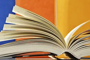 Literature Study Space Drucke: Composition with books in the library