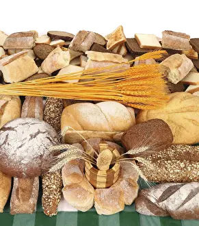 Studio Shot Of Breads Drucke: Composition of breads. Close up