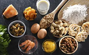 Food Allergens Drucke: Composition with common food allergens including egg