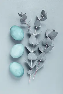 Easter Card Design Drucke: Composition of eucalyptus leaves and turquoise colored eggs