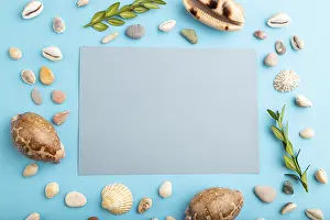 Pastel Color Decorative Item Drucke: Composition with gray paper sheet