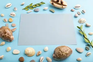 Studio Photography Concept Image Drucke: Composition with gray paper sheet
