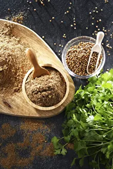 Balanced Diet Grocery List Drucke: Composition with ground coriander