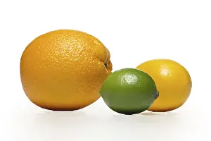 Fresh Citrus Fruits Drucke: The composition of lemon, lime and orange on a white background with shadow