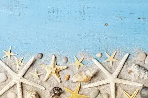Deserted Beach Wildlife Photography Drucke: Composition from seashell, starfish and sand on blue table top view